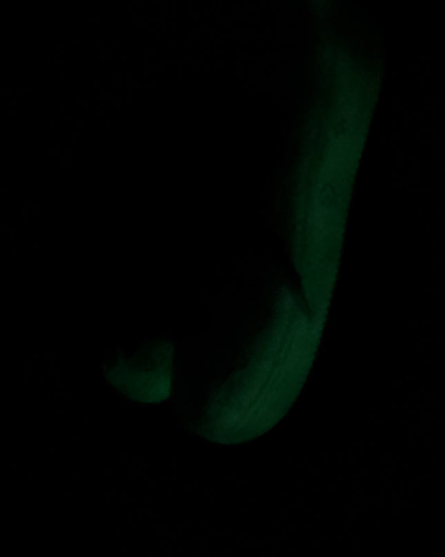 Gang Green burn AF1
